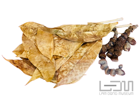 A pile of leaves and beads

Description automatically generated