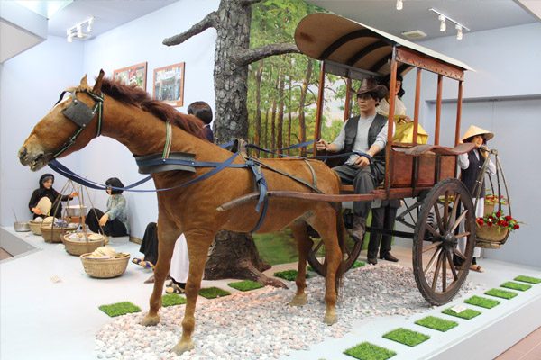 Ảnh đẹp bảo tàng