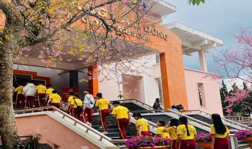 Bảo tàng - không gian học tập trực quan về lịch sử, văn hóa