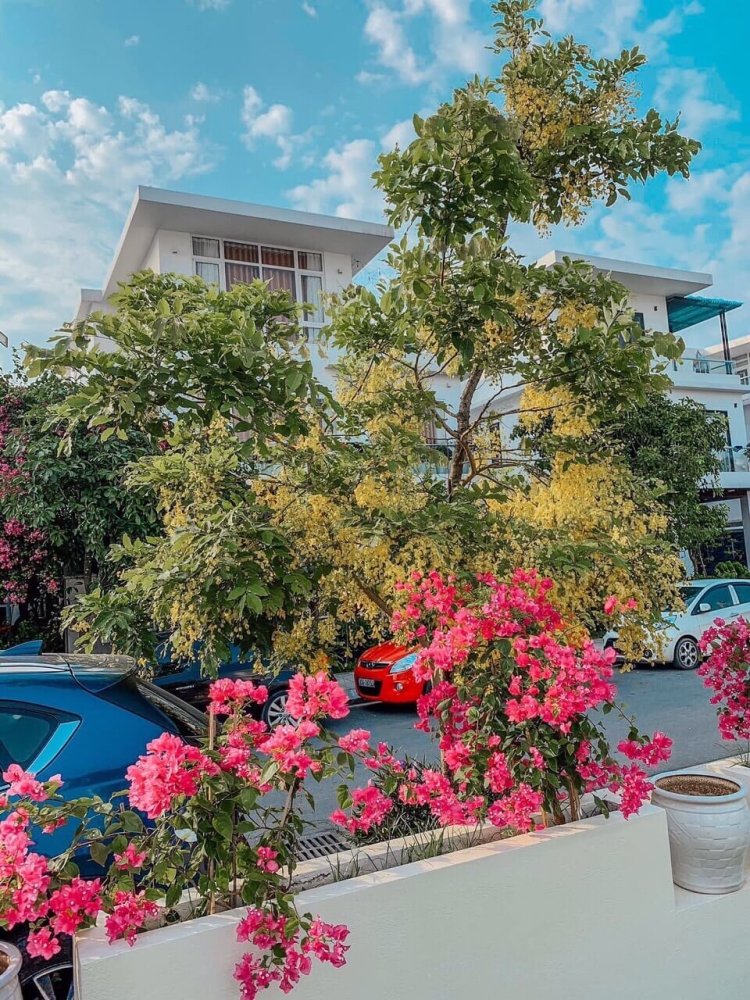 Biệt thự 12 phòng – La Maison FLC Sầm Sơn thumbnail 6